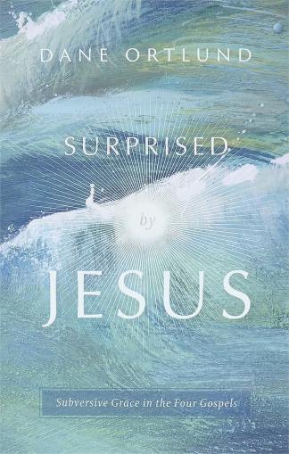 Surprised By Jesus: Subversive Grace in the Four Gospels