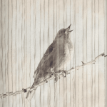 Upon Waking: 60 Daily Reflections to Discover Ourselves and the God We Were Made For